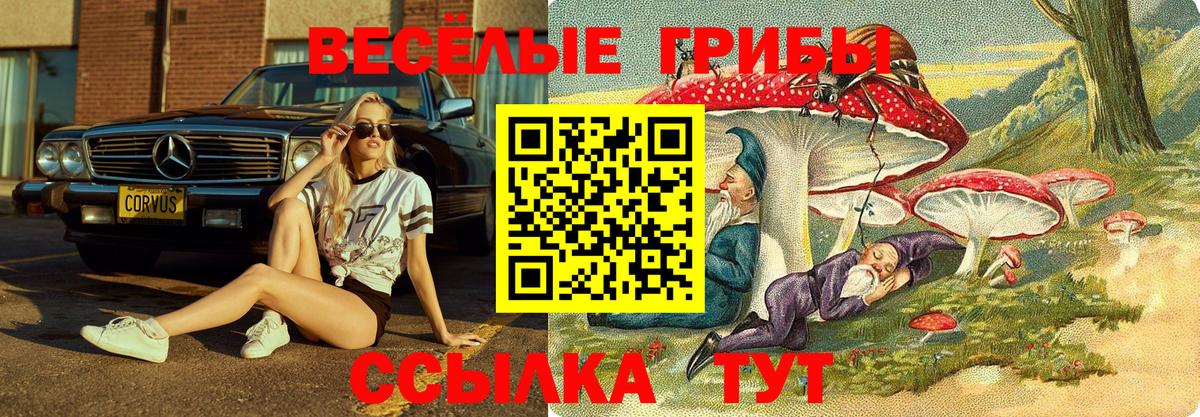 Галлюциногенные грибы MAGIC MUSHROOMS  Вход с VPN  Вышний Волочёк 