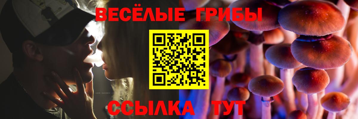 Галлюциногенные грибы прущие грибы Вышний Волочёк